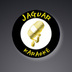 Normal_jaguar-logo-large