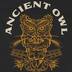 Ancient Owl Beer Garden & Bottle Shoppe - Atascadero, CA